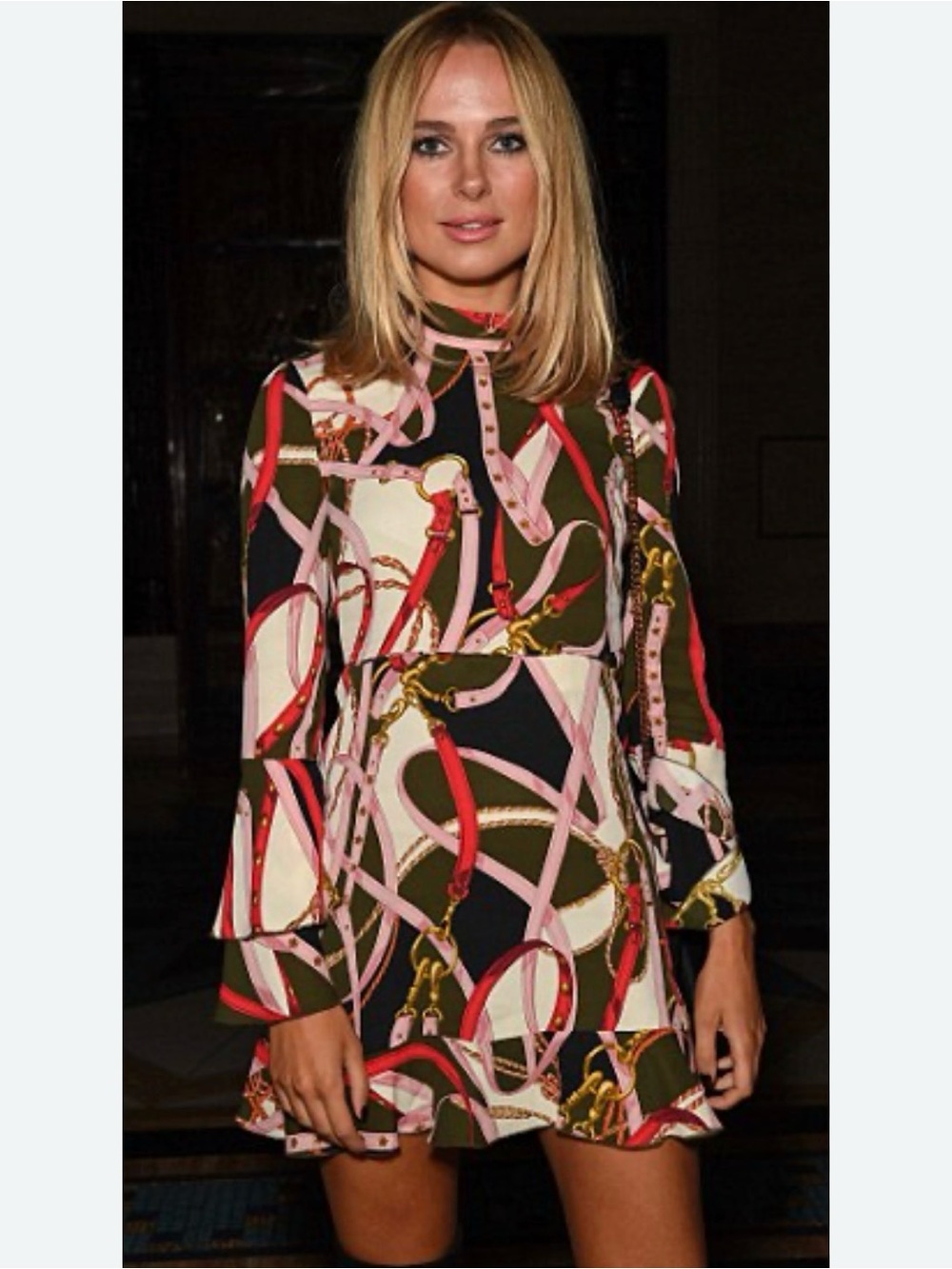 Zara Woman Chain Scarf Printed Mock Neck Ruffle Mini Dress large